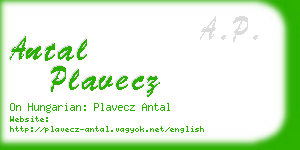 antal plavecz business card